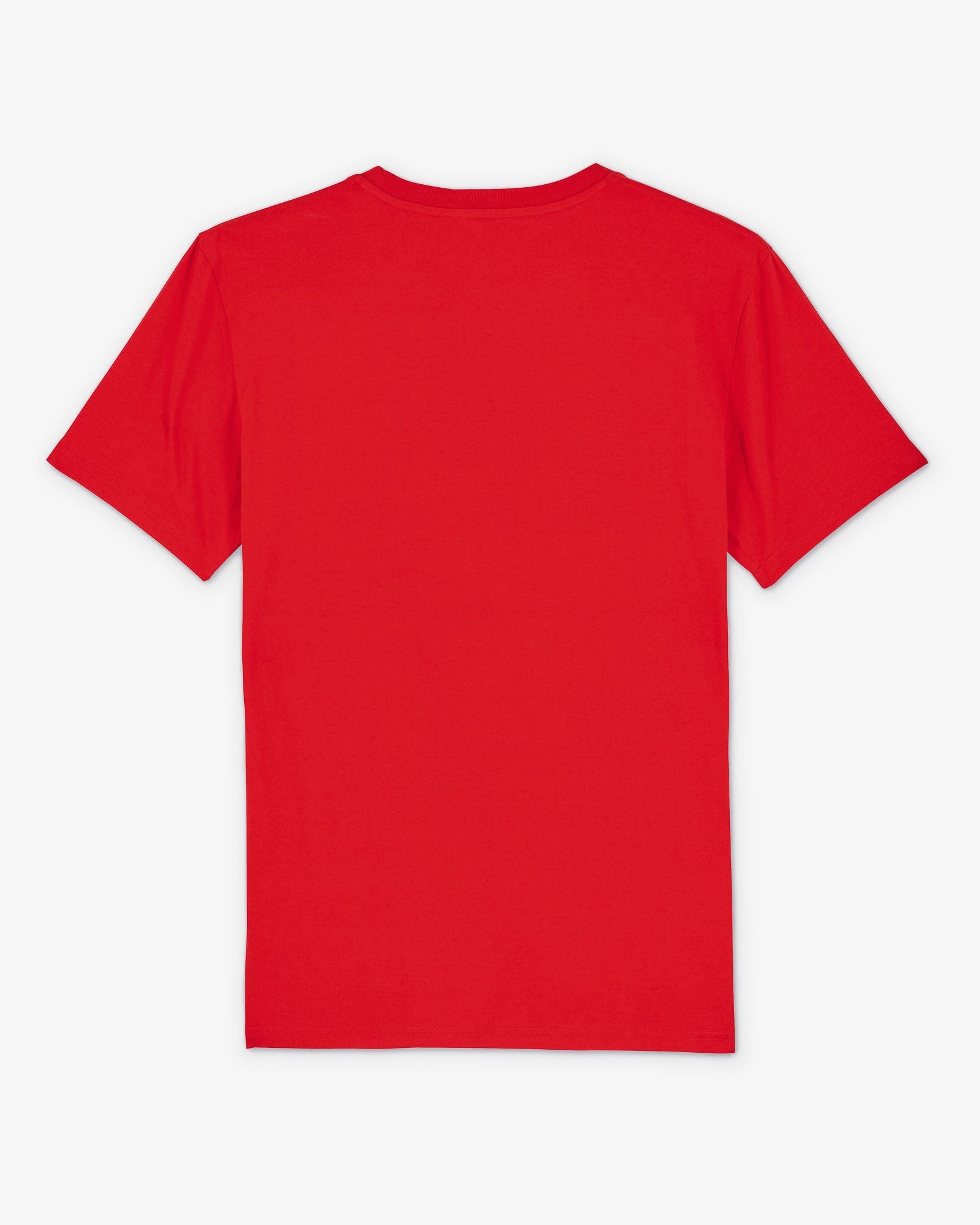 [RED] FLAG - T-Shirt